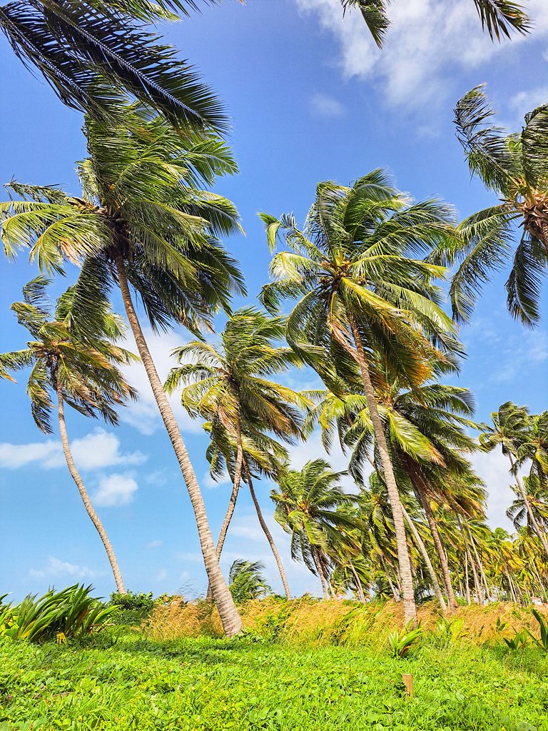 Sofisticação e Exclusividade - Casa Aysú Patacho