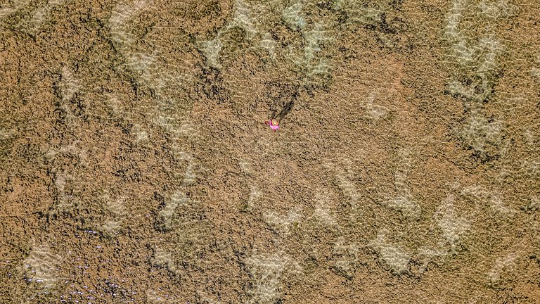 Sofisticação e Exclusividade - Casa Aysú Patacho