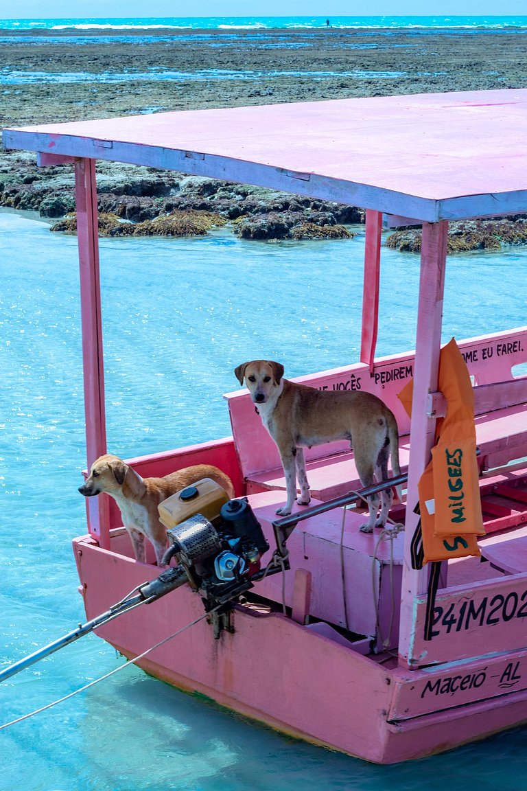 Casa Aluá Patacho con Rooftop Junto al Mar