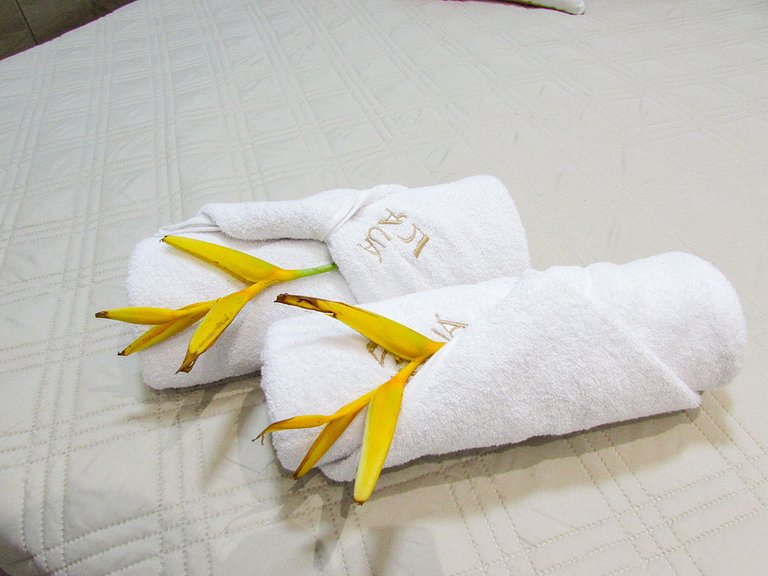 Aluá Patacho House with a Rooftop by the Sea