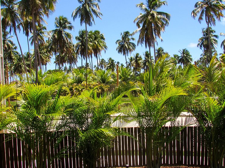 Casa Aysú Patacho – Sofisticação e Exclusividade