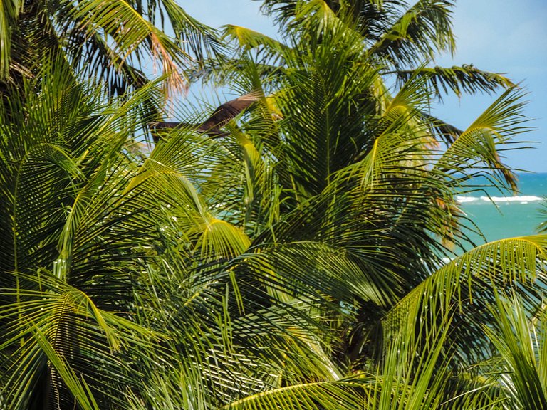 Rooftop at Milagres Beach | Near the Little Church